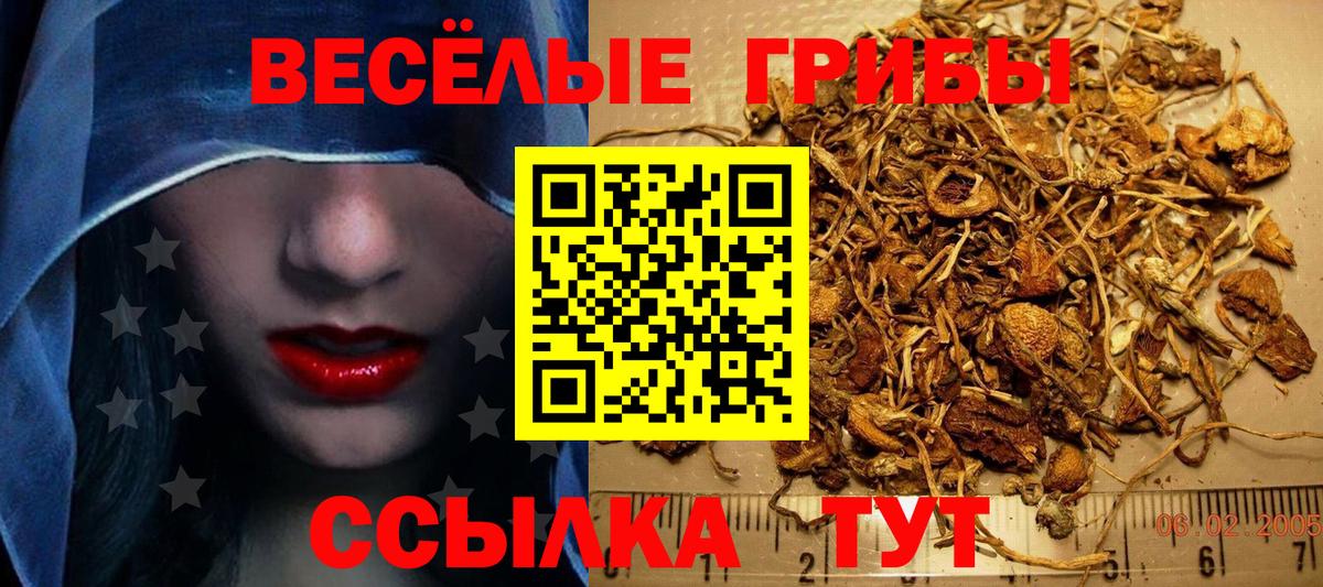 наркошоп  Галлюциногенные грибы Magic Shrooms  Галлюциногенные грибы прущие грибы  Вход с VPN  Алексин 