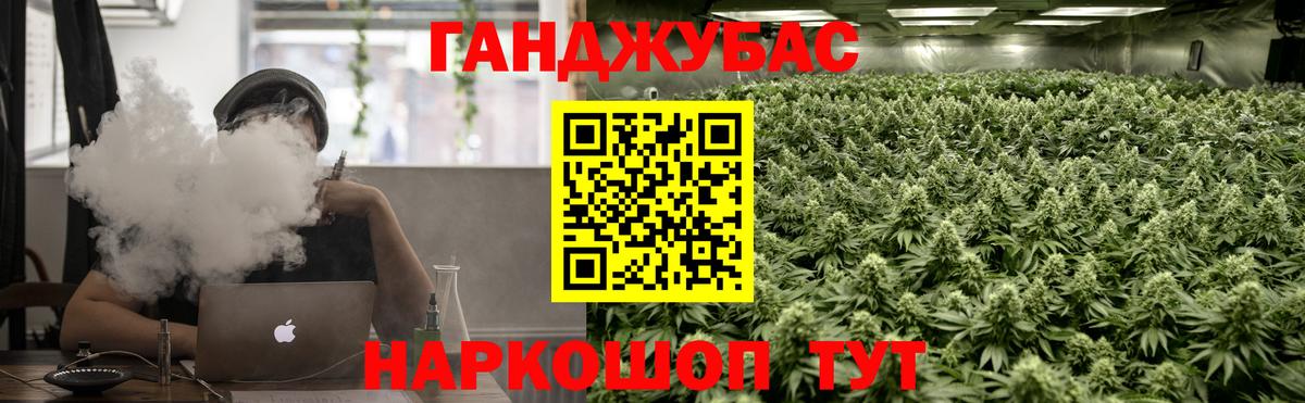 Алексин  Шишки марихуана план  Вход с VPN  Каннабис индика  Канабис семена 